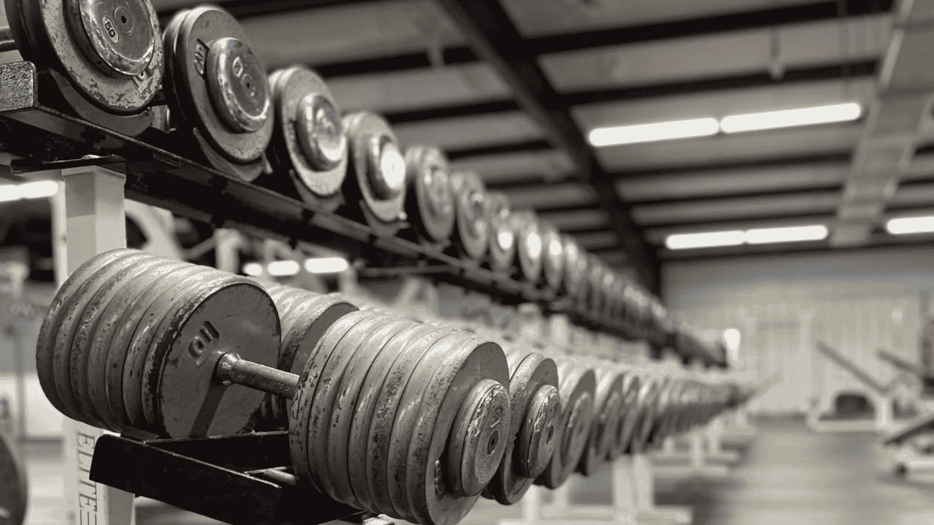 Bodybuilding & Competition Prep in Asheville | WNC Barbell